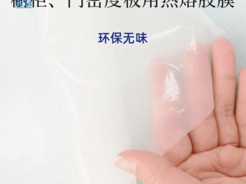 TPU熱熔膠膜